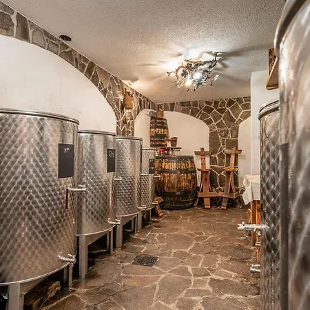 Vineyard Stepan - Happy * Črnomelj