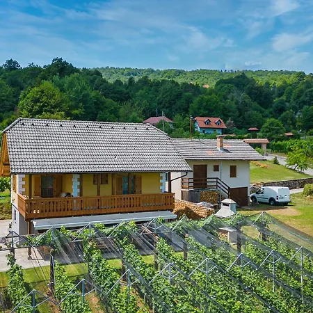 Vineyard Stepan - Happy